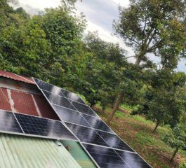 Tổ 9 - An Bình - Biên Hòa