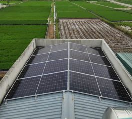 Ninh Giang - Hải Dương